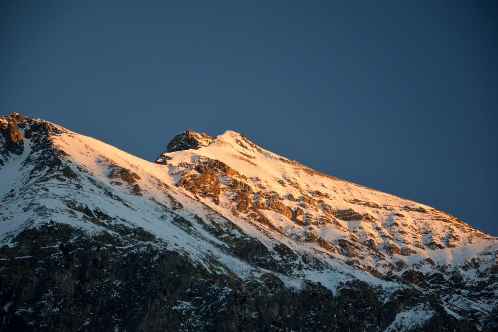 Ferienwohnungen Chesa Clois 24 Lenzerheide Exterior photo